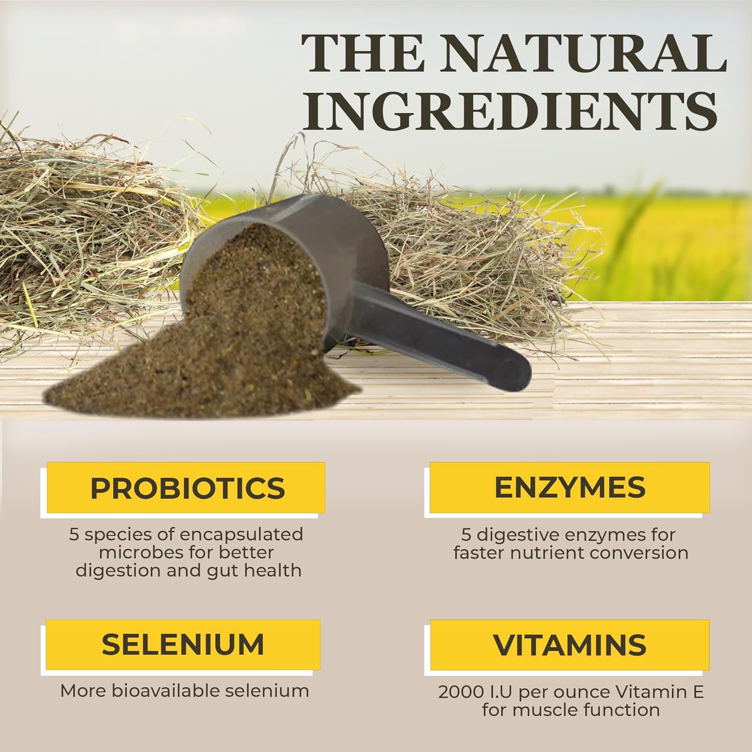 Equerry's Selenium and Vitamin E Supplement for Horses | Muscle Health & Antioxidant Support Horse Supplement | Meal Form | 5Ib Bag