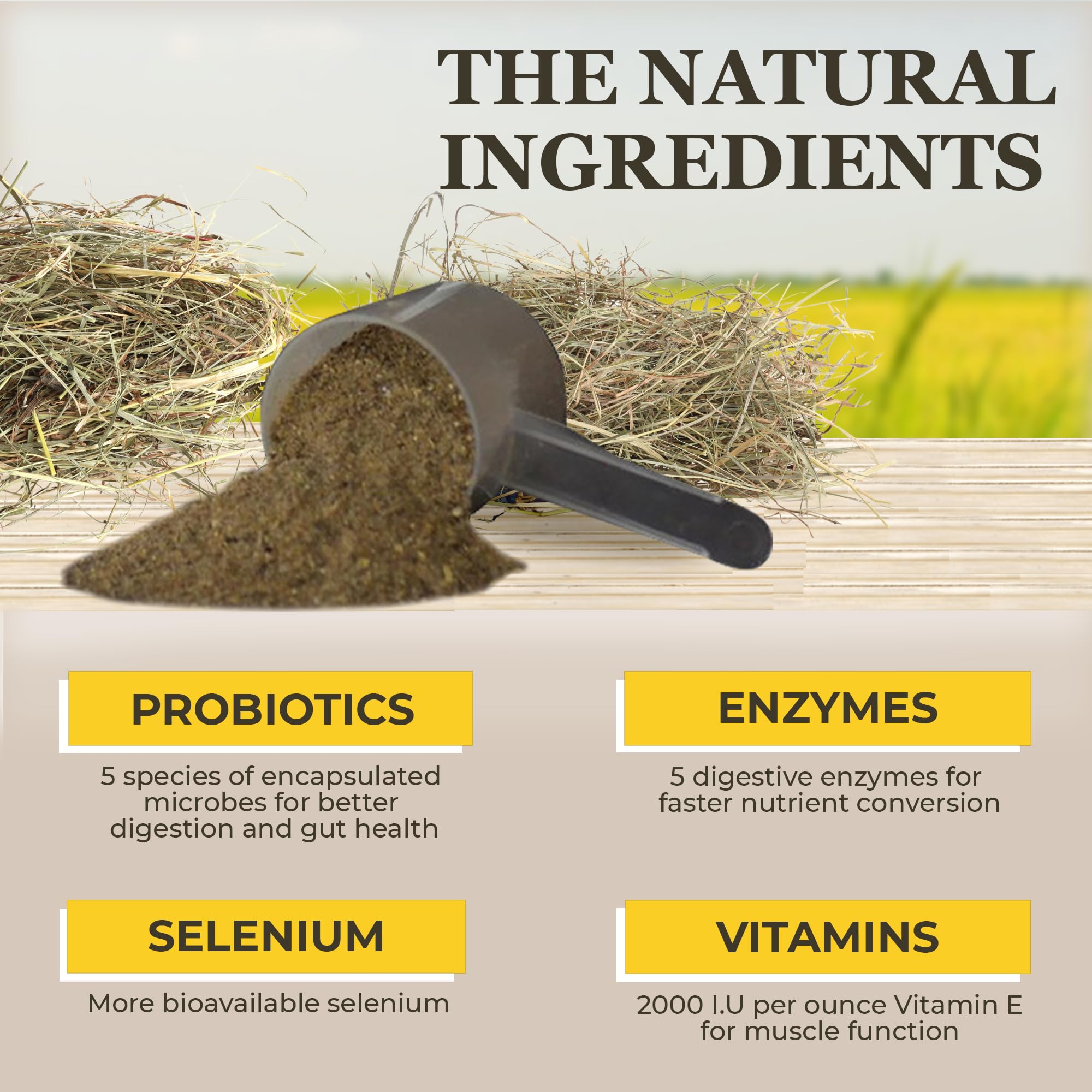 Equerry's Selenium and Vitamin E Supplement for Horses | Muscle Health & Antioxidant Support Horse Supplement | Meal Form | 20Ib Bag