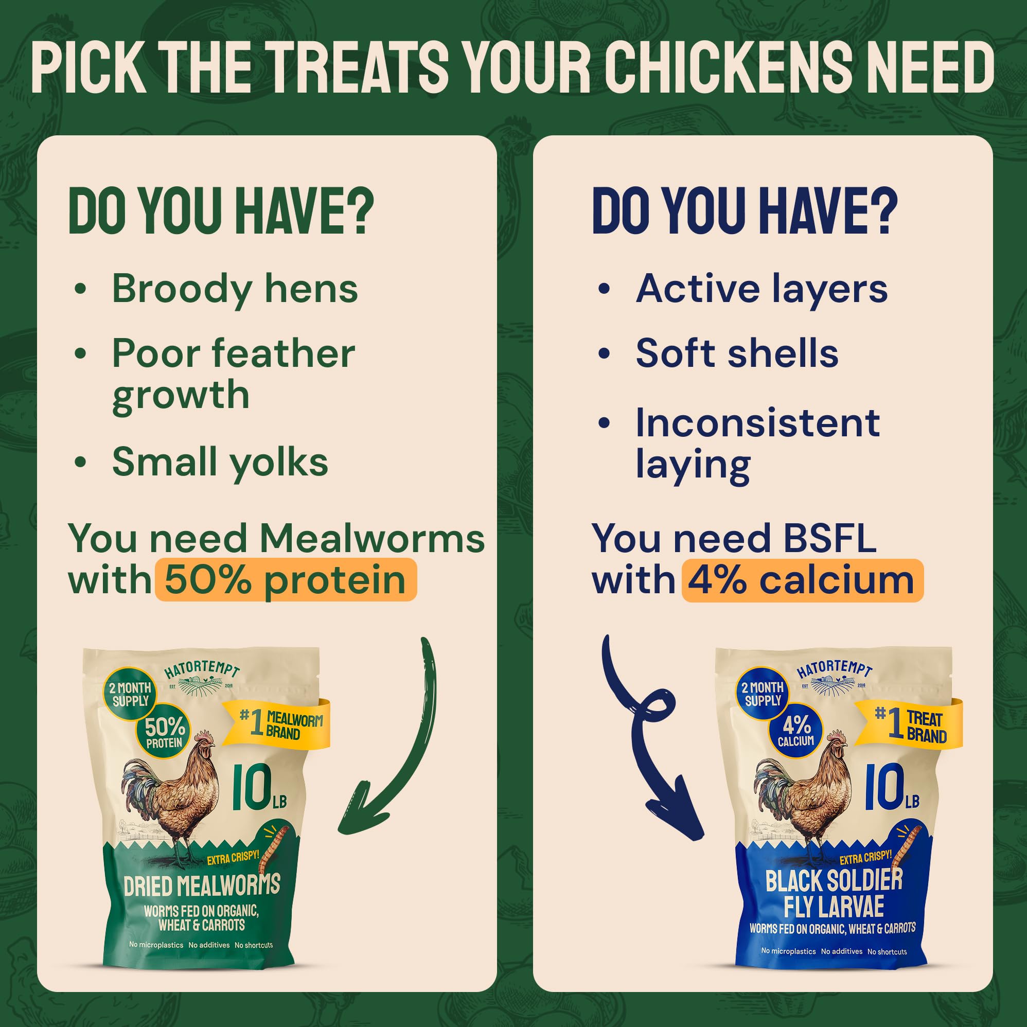 Hatortempt Bulk Dried Mealworms - 10 Lb Bag - Dried Mealworms for Chickens, Ducks & Wild Birds - High-Protein Chicken Feed & Bird Food