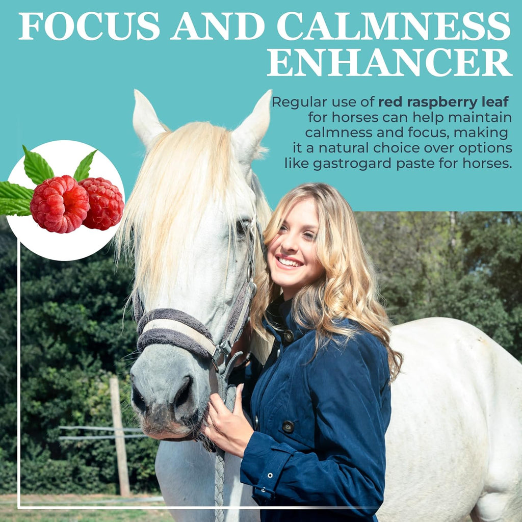 EQUERRY'S Angel Maker, Raspberry Leaf, Microencapsulated Probiotics Supplement for Horse Ulcer Treatment & Digestive Health Calmness & Focus 8 oz
