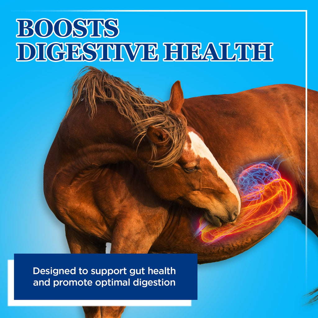 Equerry's Large Animal Probiotic | Supplements for Gut Health and Nutrient Absorption | Probiotics and Digestive enzymes for Horses, Cows, Goats, Sheep, Pigs, 160 Feedings (20lbs) for 1000 lb Animal