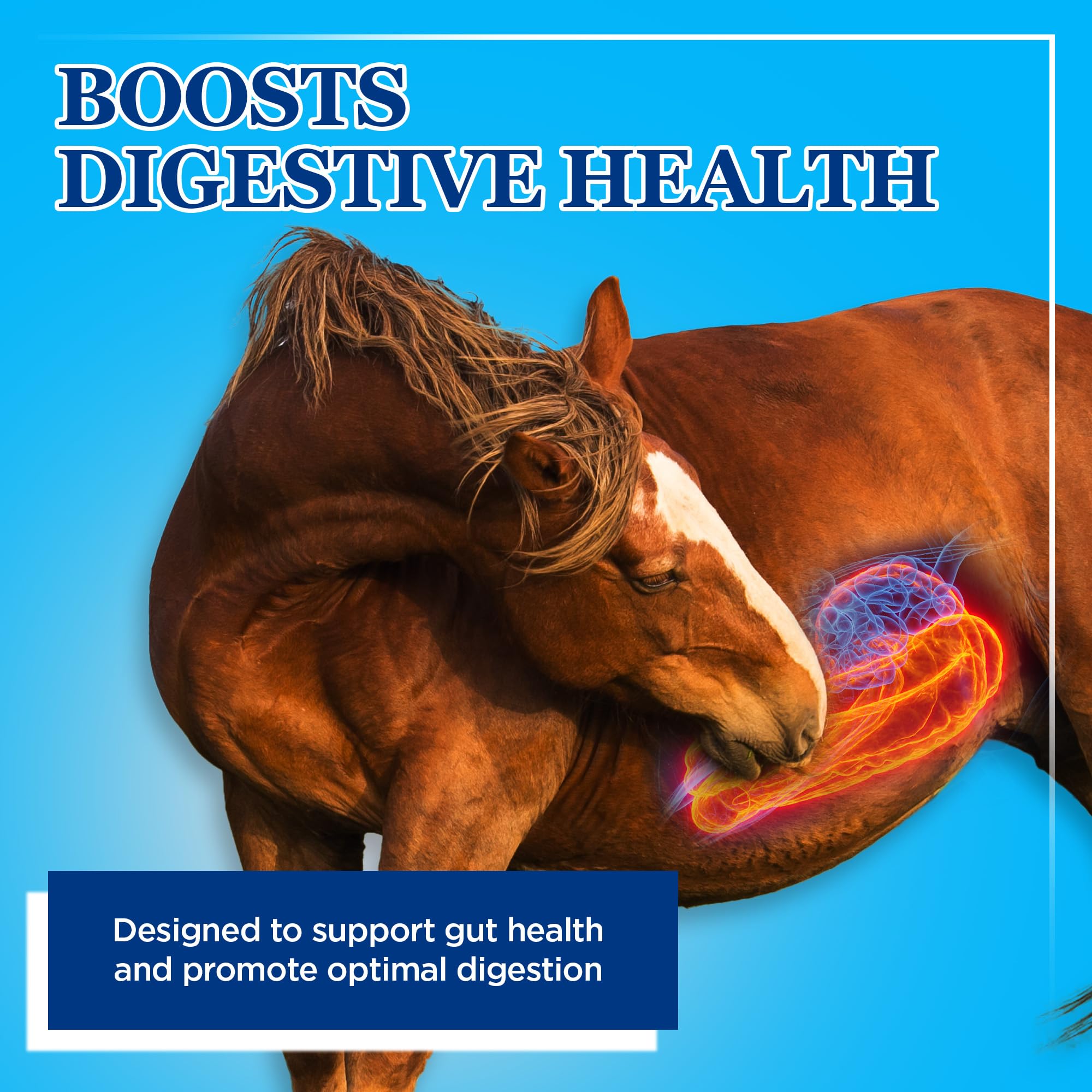 Equerry's Large Animal Probiotic | Supplements for Gut Health and Nutrient Absorption | Probiotics and Digestive enzymes for Horses, Cows, Goats, Sheep, Pigs, 160 Feedings (20lbs) for 1000 lb Animal