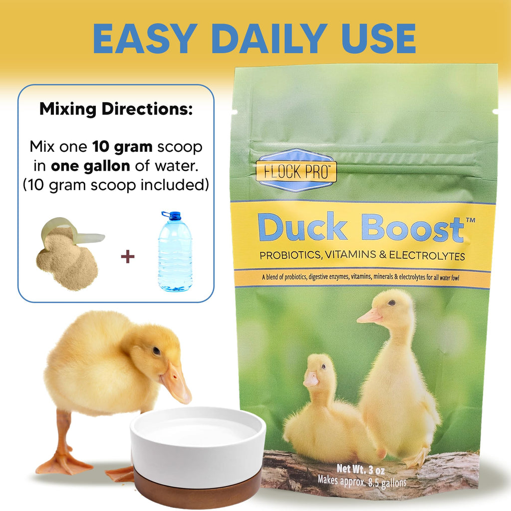 Duck Boost Probiotic - Probiotics, Vitamins, Minerals and Electrolytes for Chickens | Duck Vitamins and Supplements for All Poultry - 3oz
