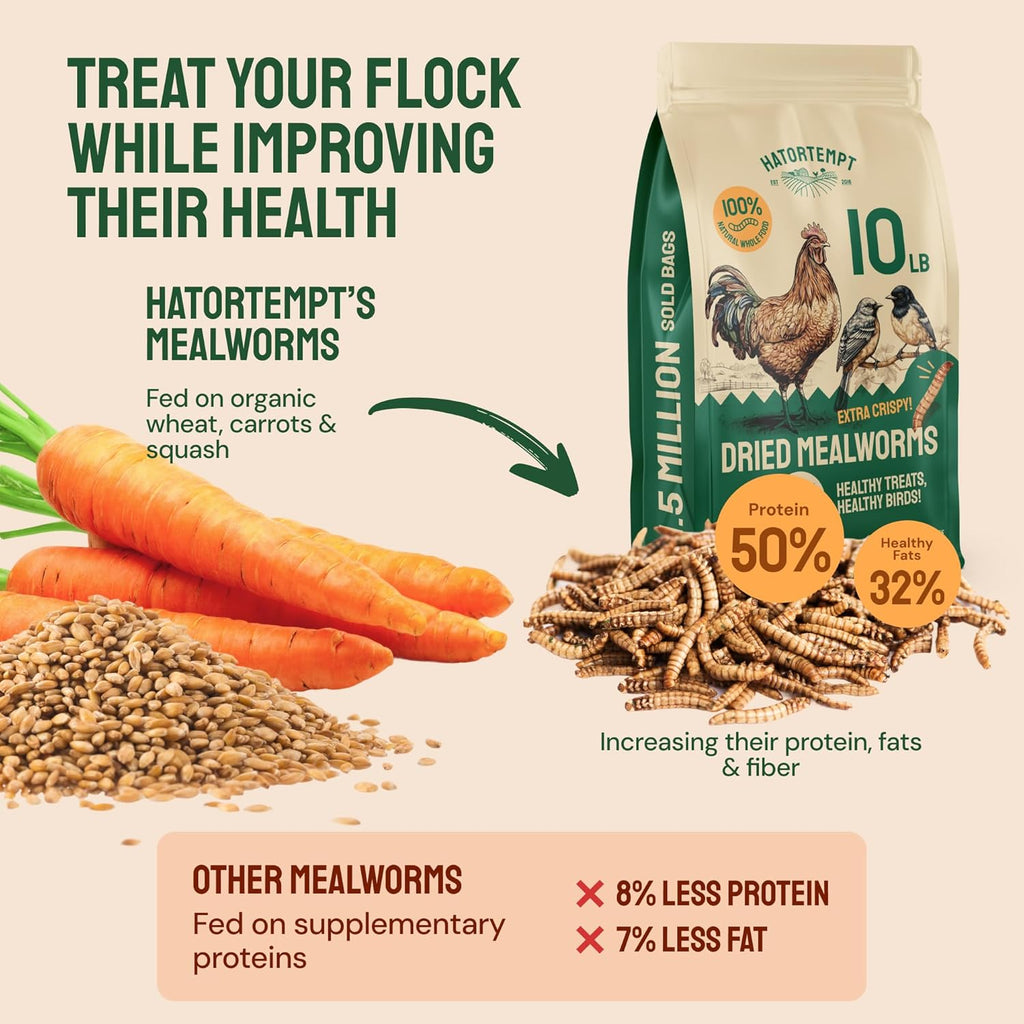 Hatortempt 10lb Dried Mealworms and 24-Pack Egg Cartons Bundle - High-Protein Treats for Quality Eggs and Reusable Bulk Cartons
