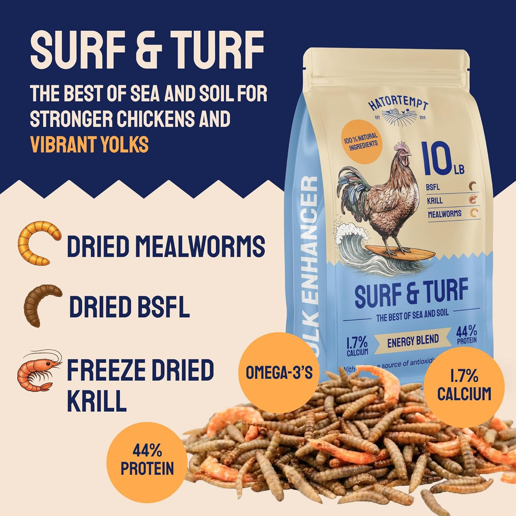 Hatortempt Surf and Turf 10lbs - Dried Mealworms for Chickens, Krill and Black Soldier Fly Larvae - High Calcium and Protein - Chicken Treats for Hens, Wild Birds and Duck Food