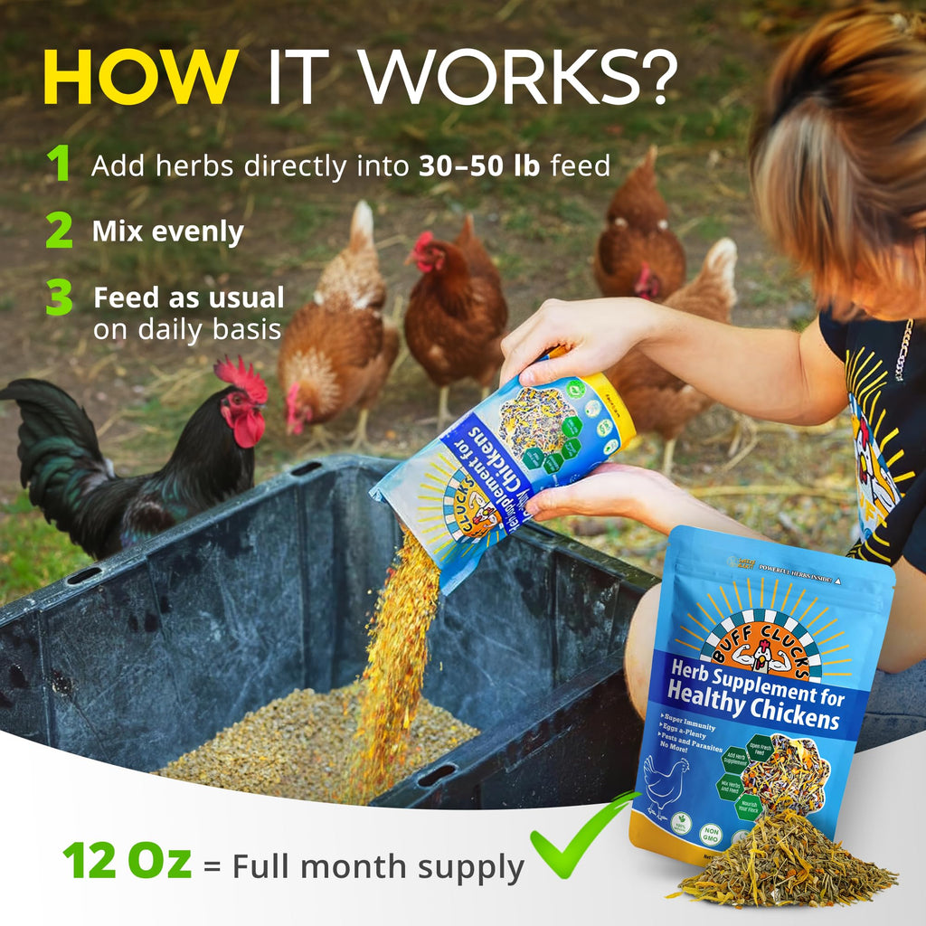 Buff Clucks Chick Formula Herbal Supplement for Baby Chicks – All-Natural Botanical Blend for Daily Wellness, Feather Quality – Plant-Based Herbs for Coop Snacks - Calendula, Oregano, Lemon Balm, USA