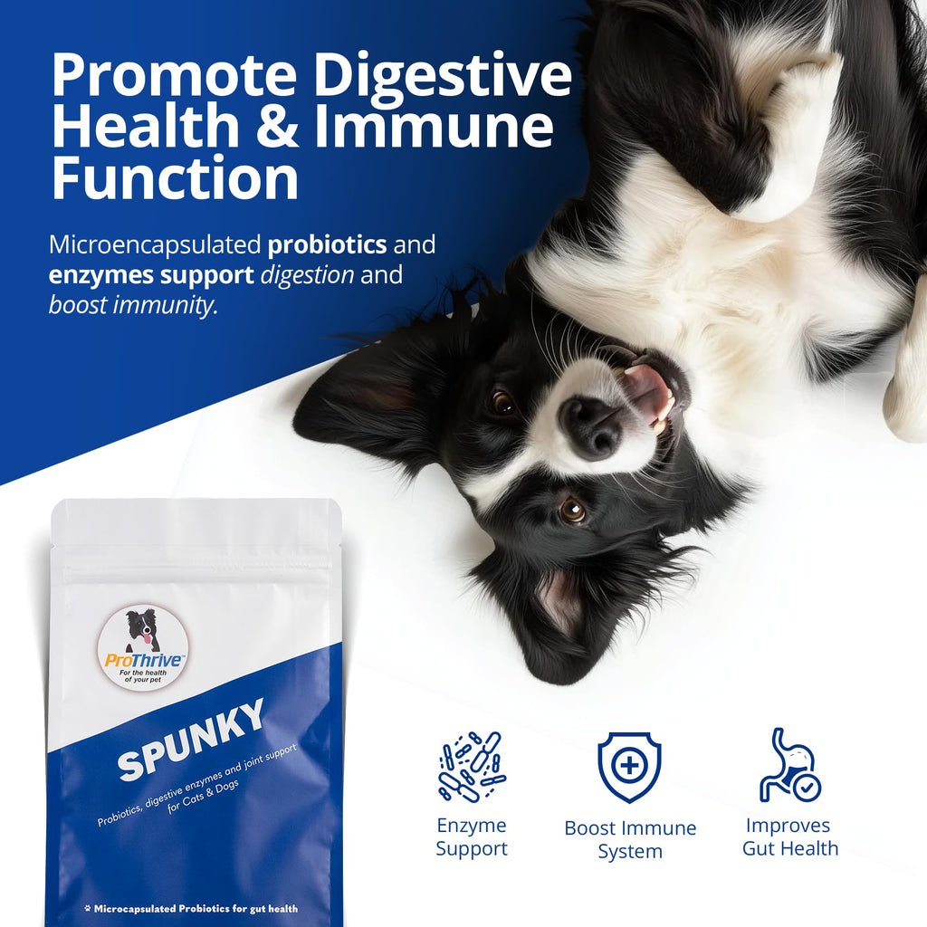 Spunky Digestive Supplement - Probiotics, Digestive Enzymes, Joint Support for Cats and Dogs | Gut Health | Pet Probiotics for Dogs and Cats - 5lb