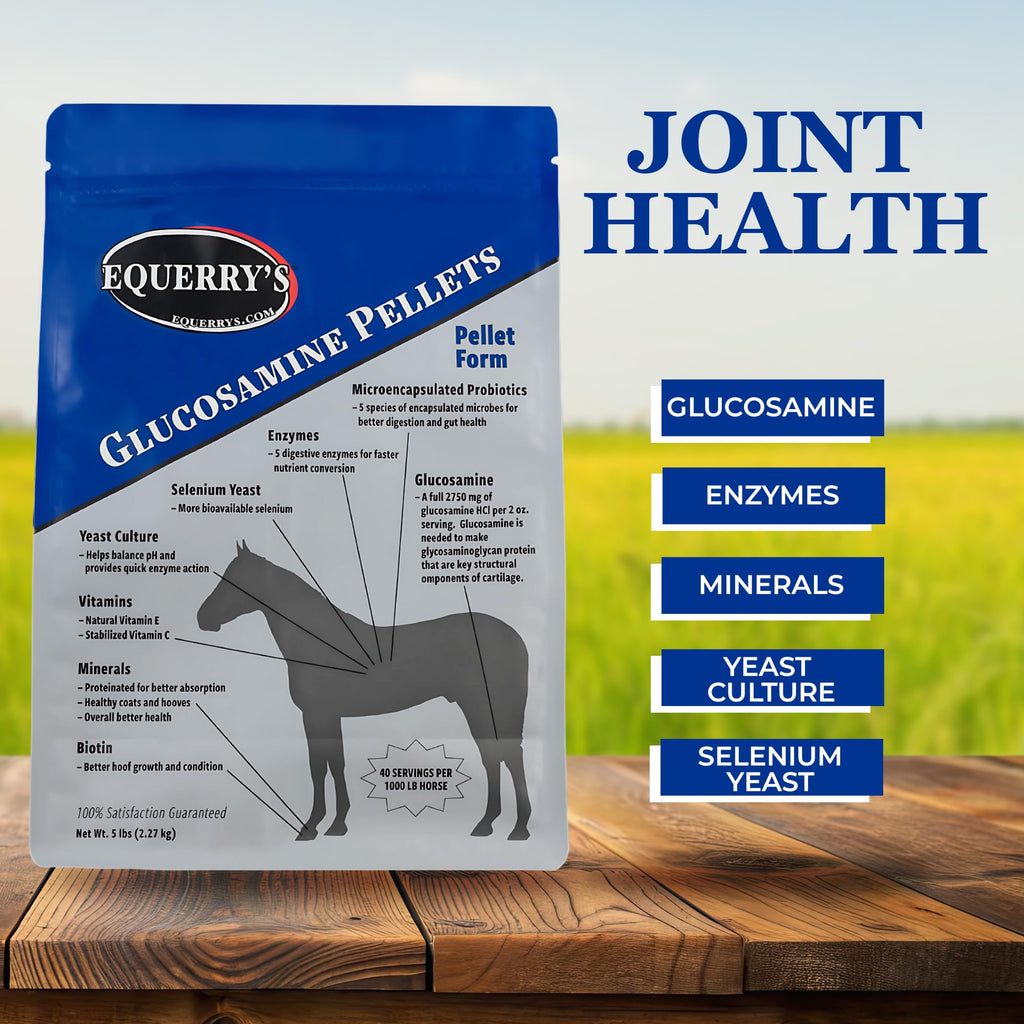 Equerry's Glucosamine Pellets - Joint Support for Horses with Probiotics, Digestive Enzymes, Vitamins, and Minerals - Made in USA - 5lb