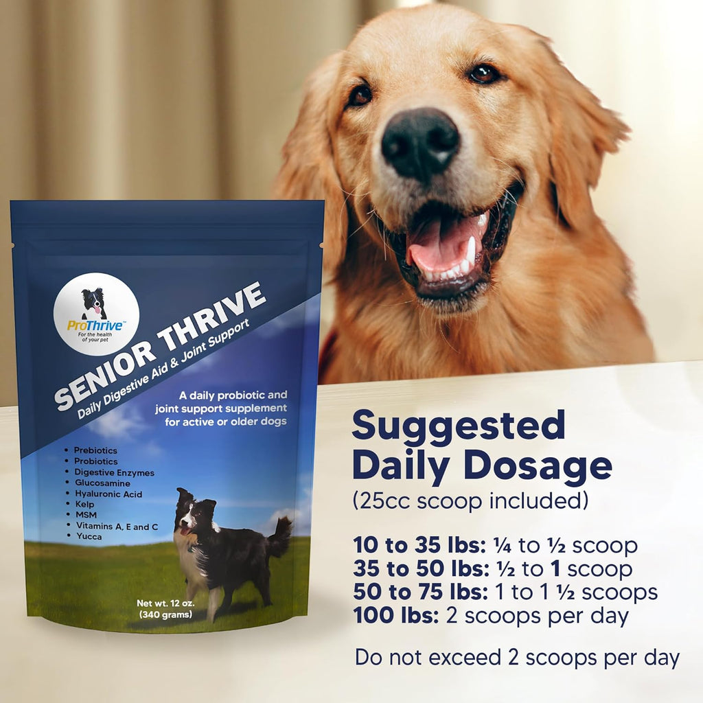 ProThrive Senior Dog Digestive & Joint Supplement - Supports Healthy Digestion, Immune System, and Joint Comfort for Aging Dogs, Advanced Relief - 12 Oz