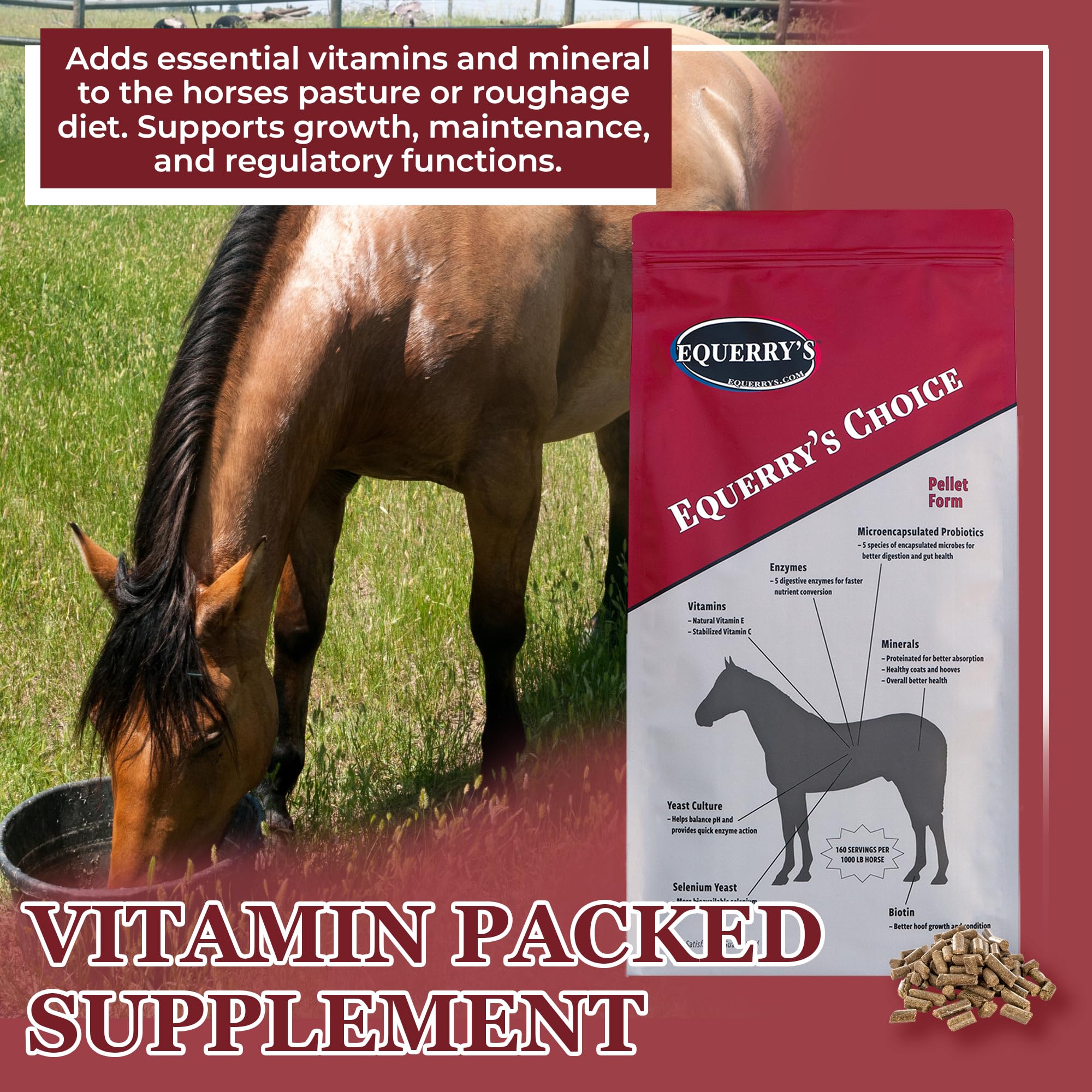 Equerry's Choice Horse Pellets - Complete Nutritional Supplement | Digestive Enzymes | Chelated Vitamins and Minerals | Horse Supplements | 5 lb
