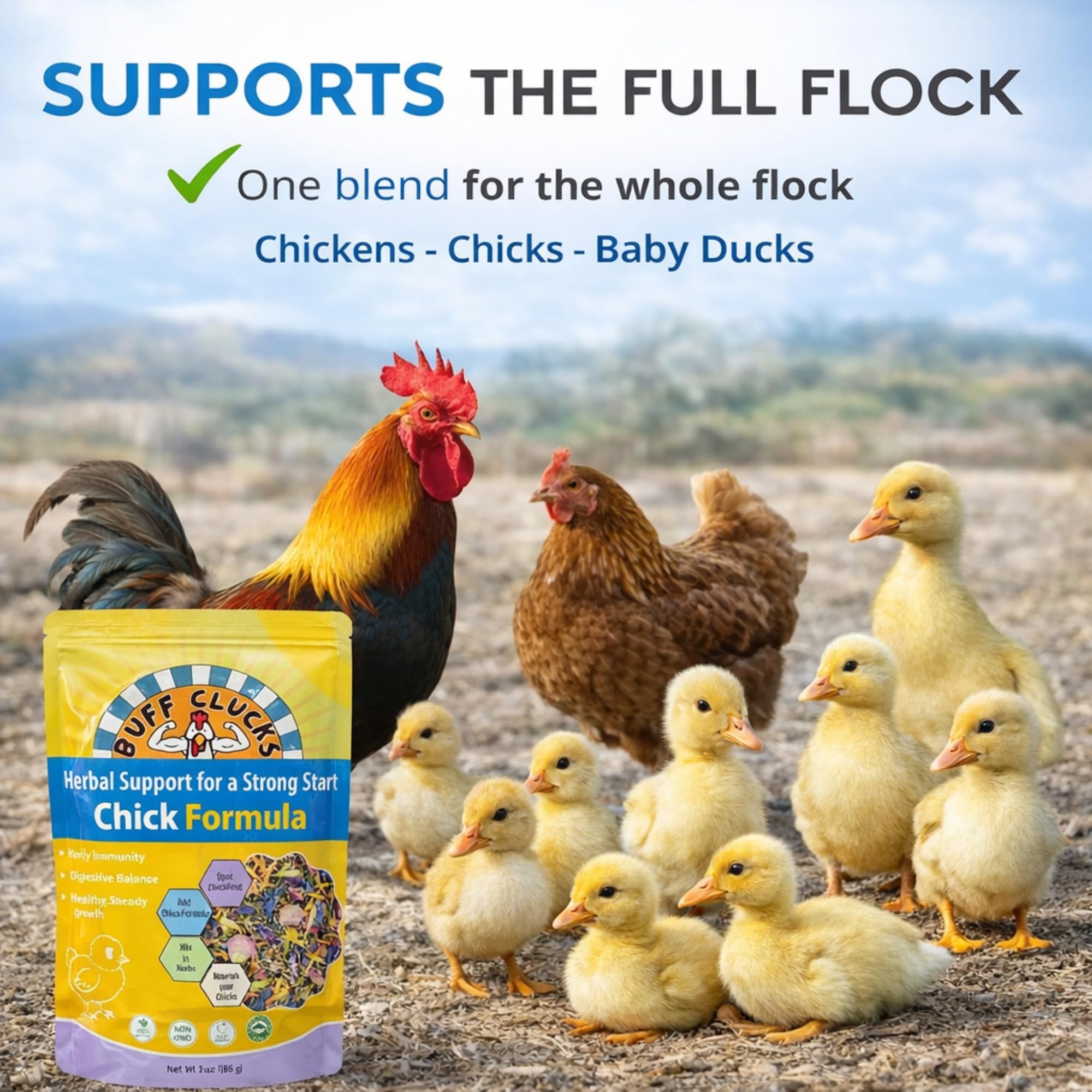 Buff Clucks Chick Formula Herbal Supplement for Baby Chicks – All-Natural Botanical Blend for Daily Wellness, Feather Quality – Plant-Based Herbs for Coop Snacks - Calendula, Oregano, Lemon Balm, USA
