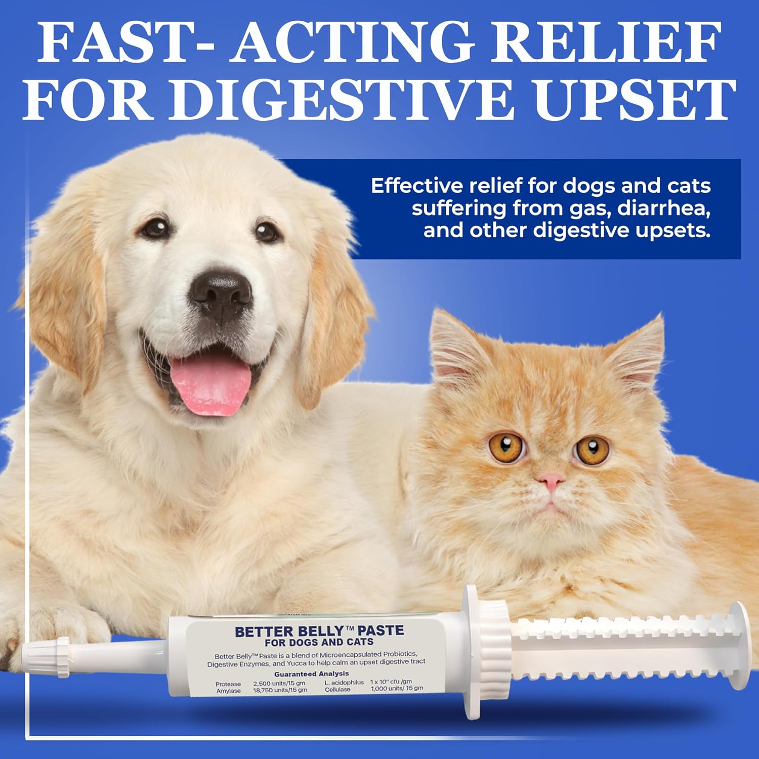 ProThrive Better Belly Probiotic Paste for Dogs & Cats | Probiotics, Digestive Enzymes & Yucca | Fast-Acting Relief for Digestive Upset & Diarrhea - 15gm