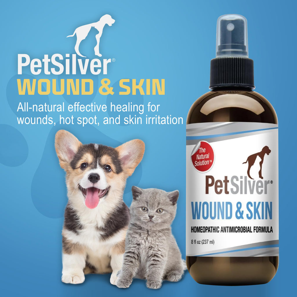 PetSilver Antibacterial Wound & Skin Spray | Dog Hot Spot Treatment & Cat Wound Spray | Chelated Silver Skin Soother for Rashes & Sores | Dog Wound Care & Itch Spray - 4 fl oz