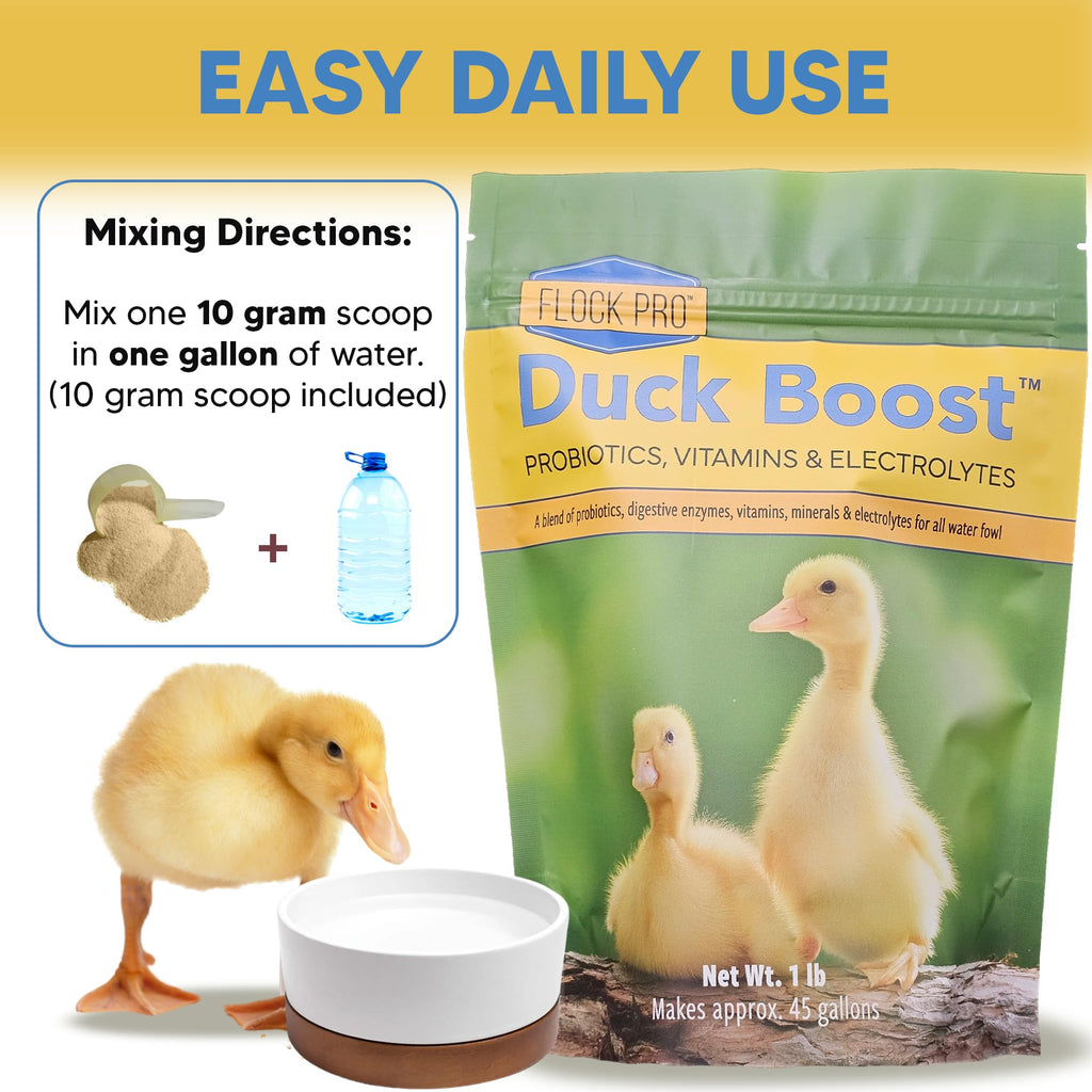 Duck Boost Probiotic - Probiotics, Vitamins, Minerals and Electrolytes for Chickens | Duck Vitamins and Supplements for All Poultry - 3oz