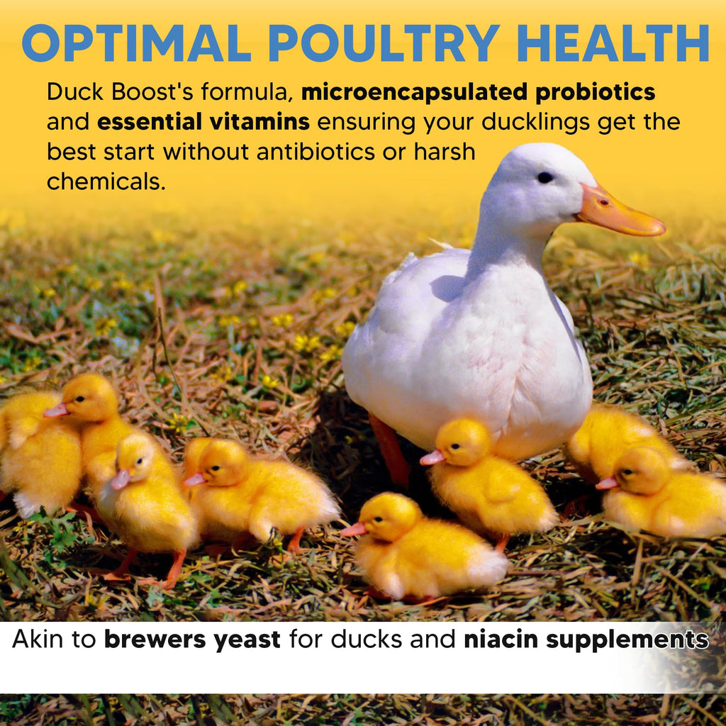 Duck Boost Probiotic - Probiotics, Vitamins, Minerals and Electrolytes for Chickens | Duck Vitamins and Supplements for All Poultry - 3oz