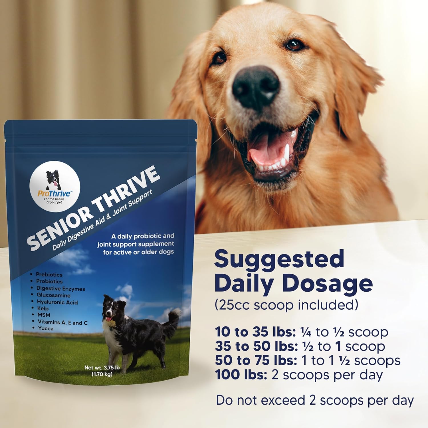 ProThrive Senior Dog Digestive & Joint Supplement - Supports Healthy Digestion, Immune System, and Joint Comfort for Aging Dogs, Advanced Relief 3.75 Lb