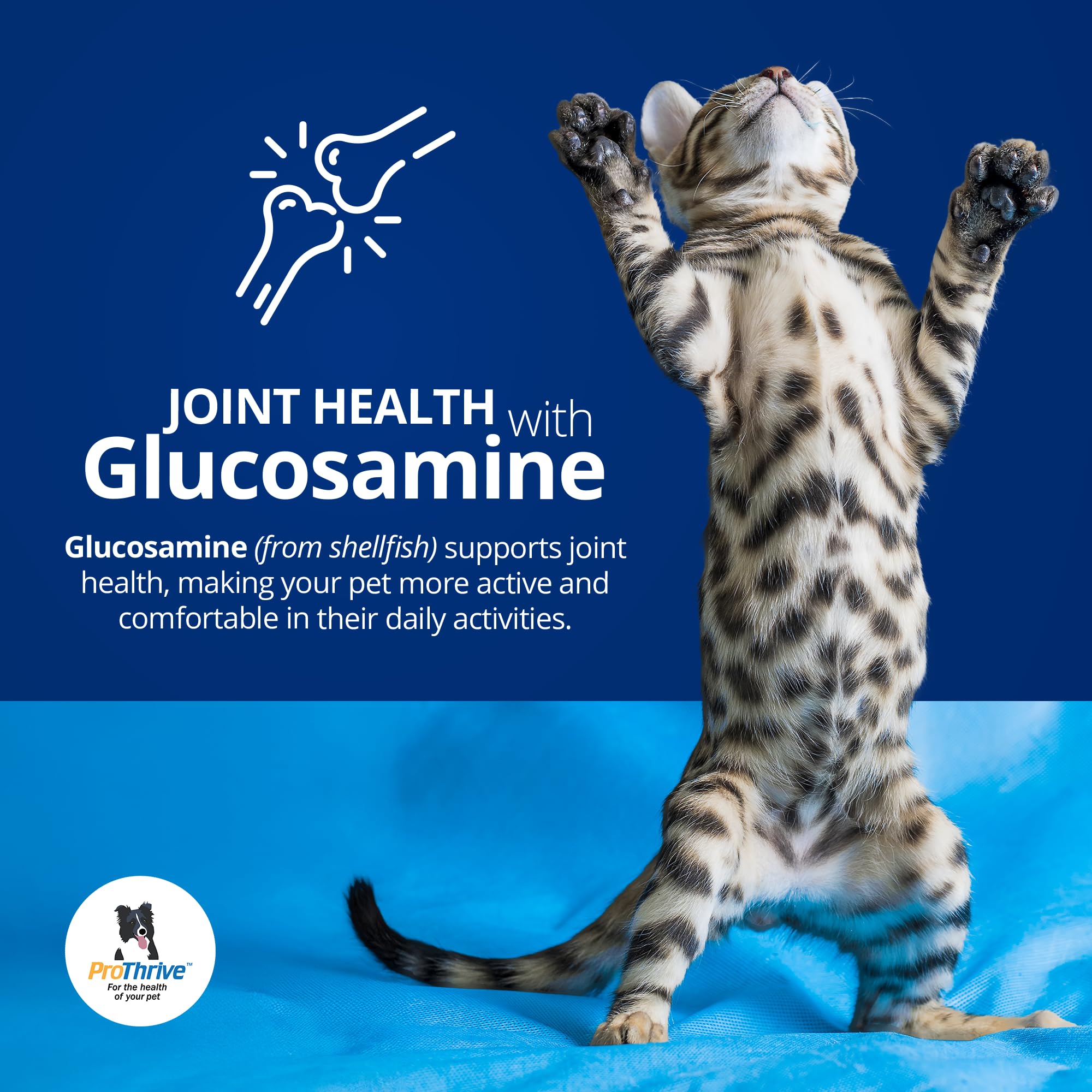 Spunky Digestive Supplement - Probiotics, Digestive Enzymes, Joint Support for Cats and Dogs | Gut Health | Pet Probiotics for Dogs and Cats - 5lb