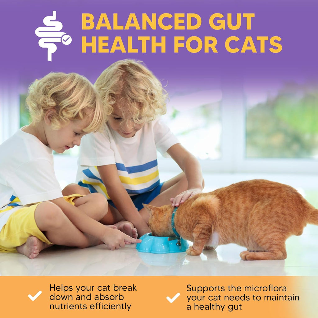 ProThrive Better Cat Belly Advanced Cat Digestive Support Supplement, Powder Prebiotics & Probiotics for Cats, Taurine Amino Acid for Immune Support, 9 Oz Bag