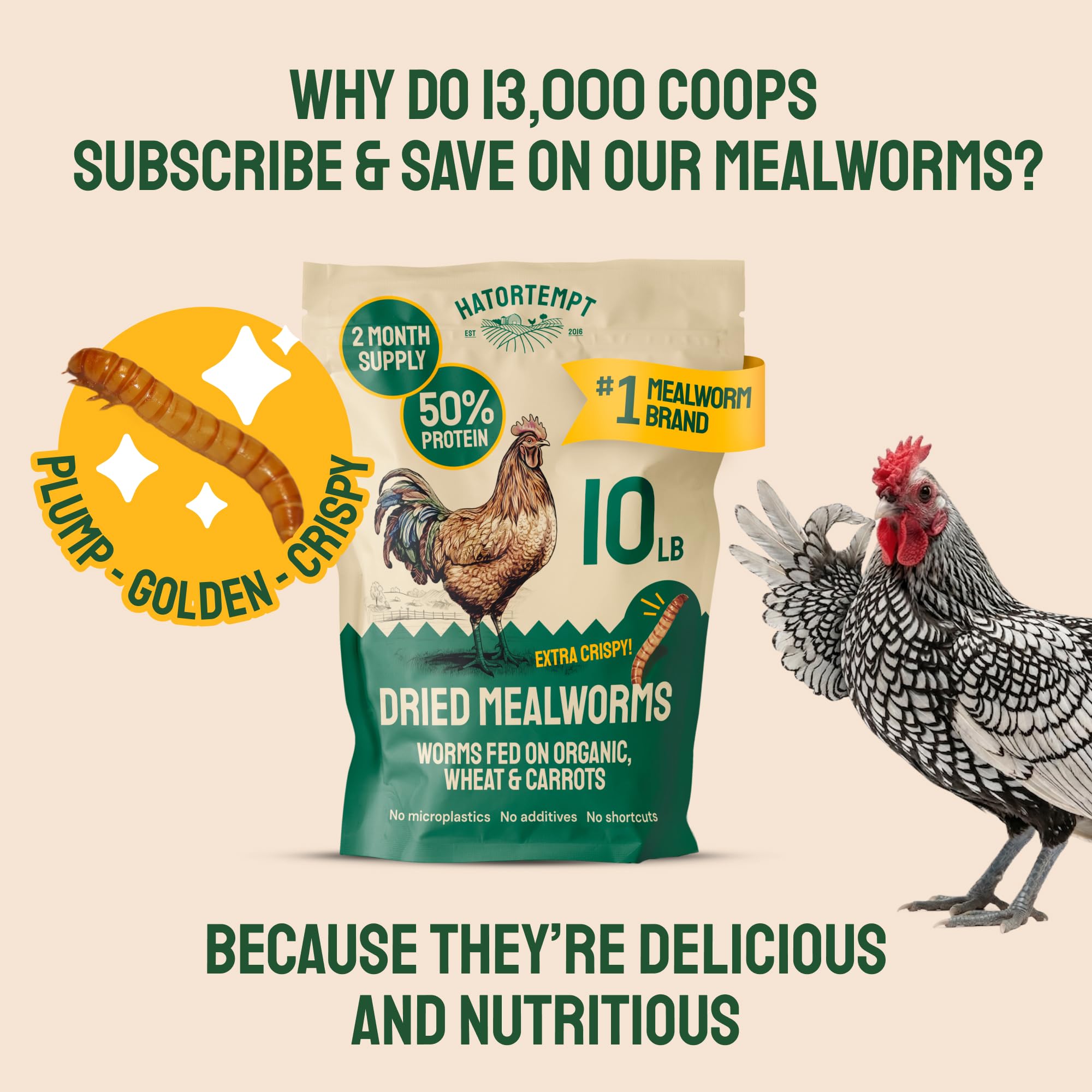 Hatortempt Bulk Dried Mealworms - 10 Lb Bag - Dried Mealworms for Chickens, Ducks & Wild Birds - High-Protein Chicken Feed & Bird Food