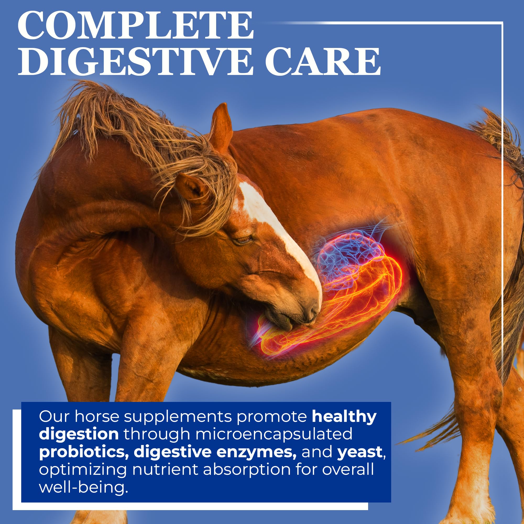 Equerry's Glucosamine Pellets - Joint Support for Horses with Probiotics, Digestive Enzymes, Vitamins, and Minerals - Made in USA - 5lb
