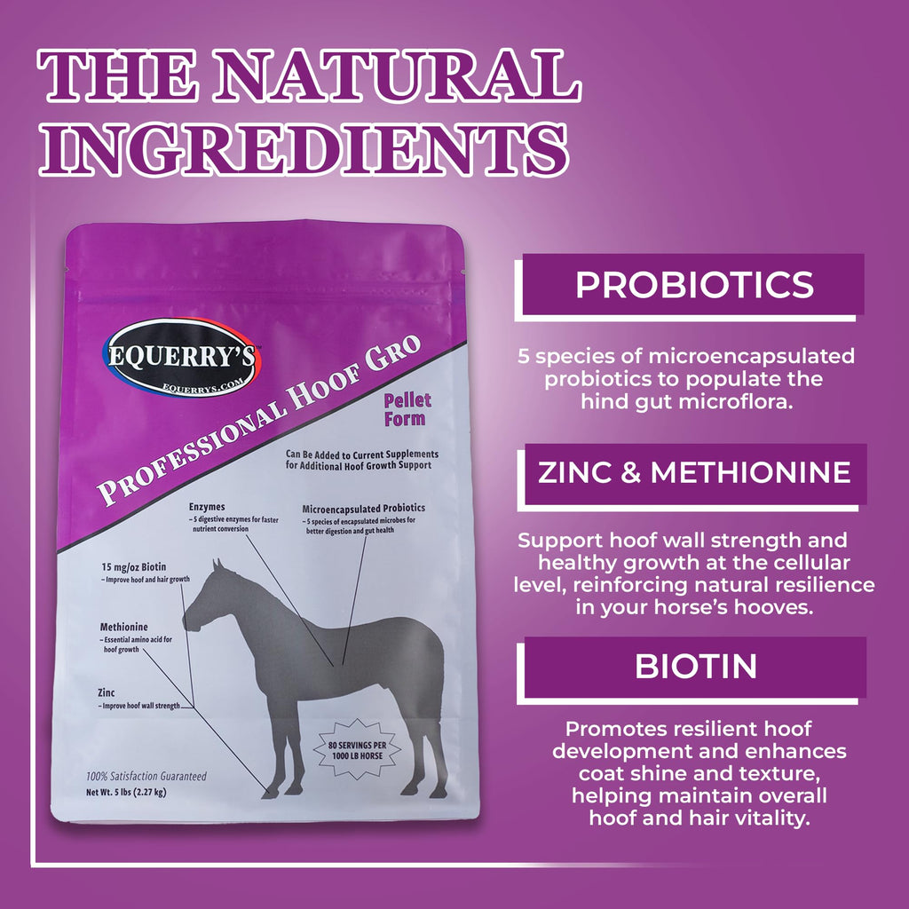 Equerry's Professional Hoof-GRO Equine Hoof Supplement for Horses, with Biotin, Digestive Enzymes, Probiotics, Supports Strong Healthy Hooves (5 lb)