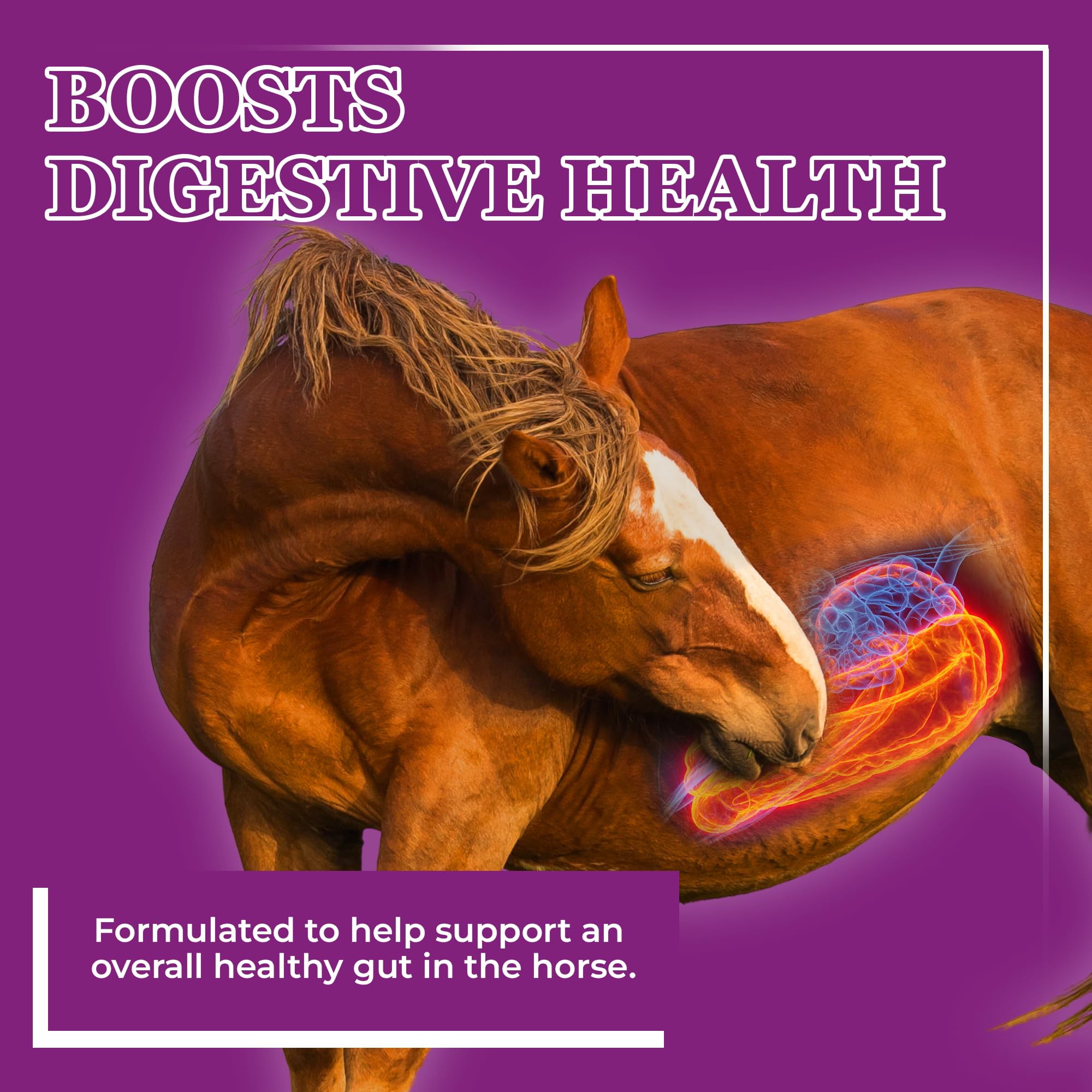 Equerry's Professional Hoof-GRO Equine Hoof Supplement for Horses, with Biotin, Digestive Enzymes, Probiotics, Supports Strong Healthy Hooves (5 lb)