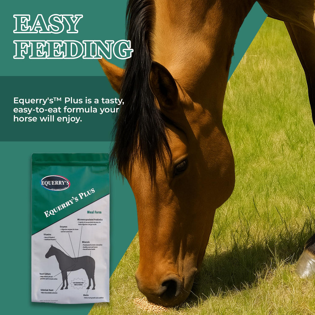 Equerry's Plus Horse Supplement - Enhanced Support with Probiotics for Digestion, Vitamins, and Minerals - Made in USA - 20 lb