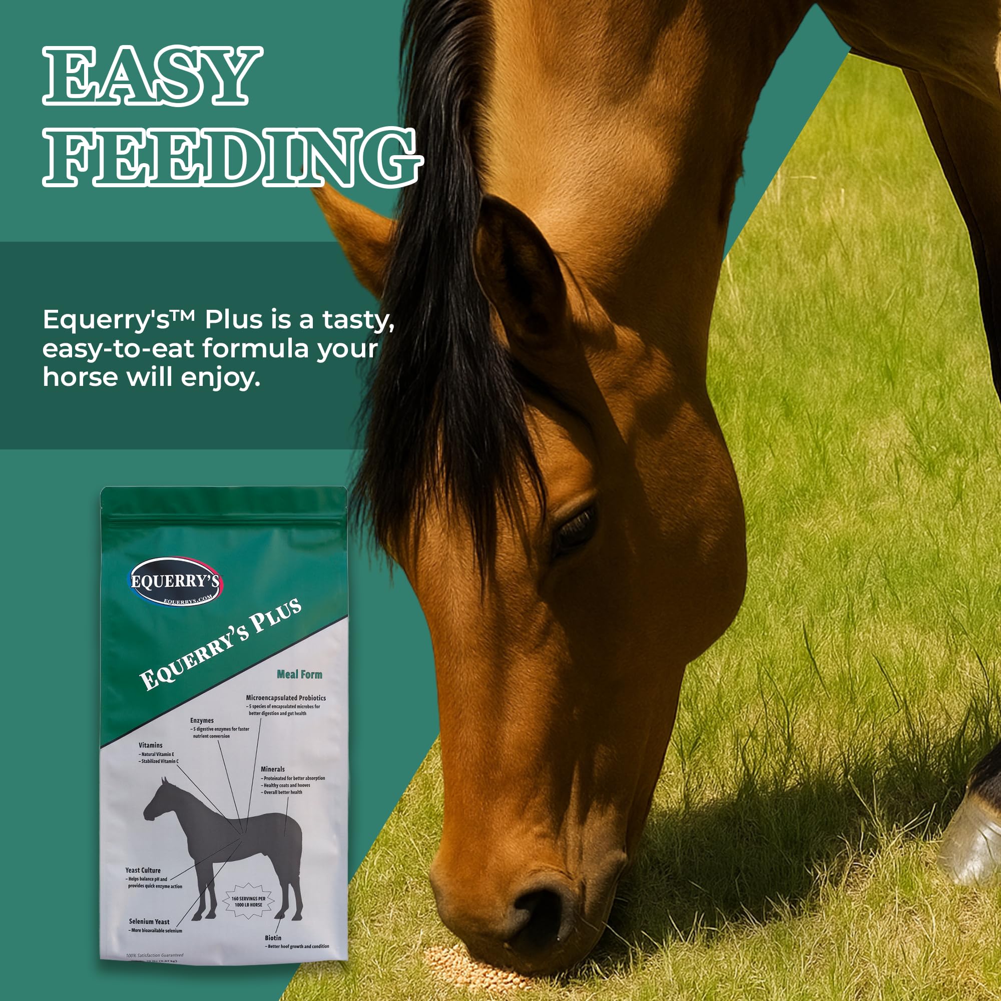 Equerry's Plus Horse Supplement - Enhanced Support with Probiotics for Digestion, Vitamins, and Minerals - Made in USA - 20 lb