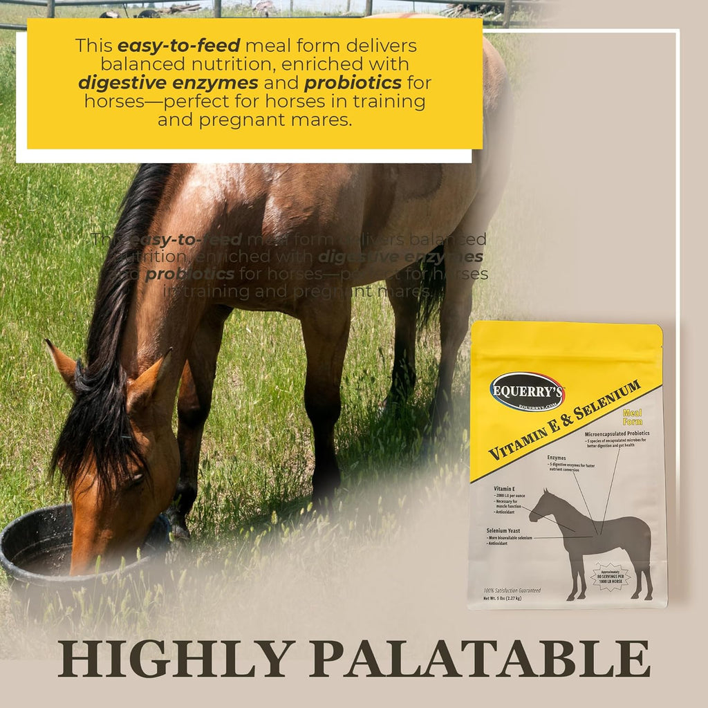 Equerry's Selenium and Vitamin E Supplement for Horses | Muscle Health & Antioxidant Support Horse Supplement | Meal Form | 5Ib Bag