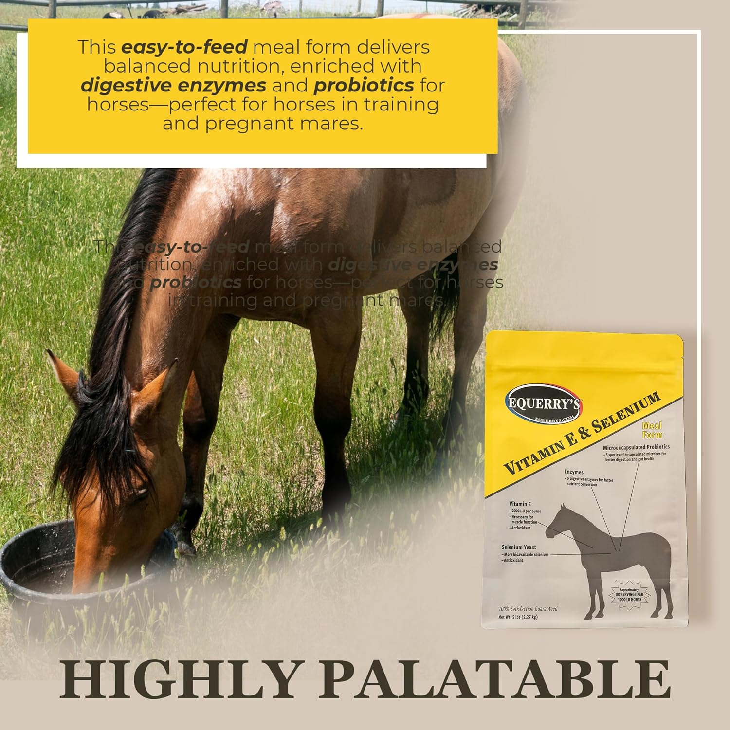 Equerry's Selenium and Vitamin E Supplement for Horses | Muscle Health & Antioxidant Support Horse Supplement | Meal Form | 5Ib Bag