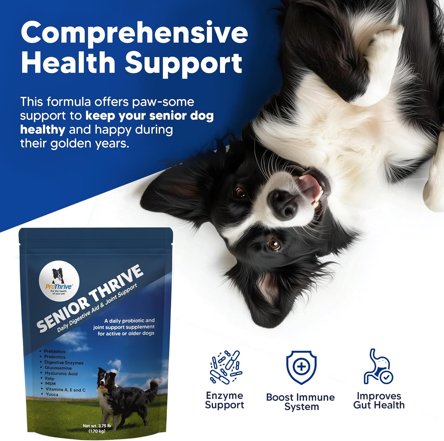 ProThrive Senior Dog Digestive & Joint Supplement - Supports Healthy Digestion, Immune System, and Joint Comfort for Aging Dogs, Advanced Relief 3.75 Lb