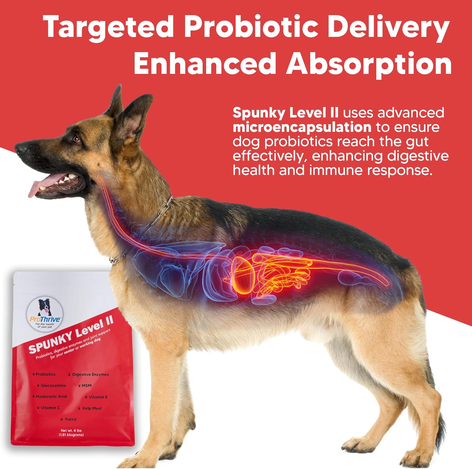 Spunky Level II Hip and Joint Supplement for Dogs, Glucosamine for Dogs with MSM, Dog Vitamins and Supplements Helps Digestion, Dog Joint Supplement - 1LB
