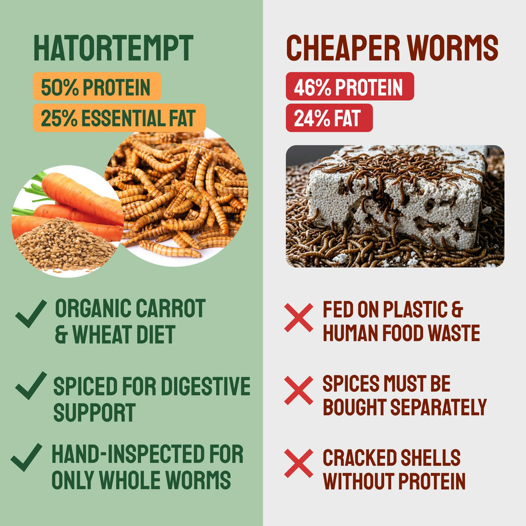 Hatortempt Bulk Dried Mealworms - 10 Lb Bag - Dried Mealworms for Chickens, Ducks & Wild Birds - High-Protein Chicken Feed & Bird Food