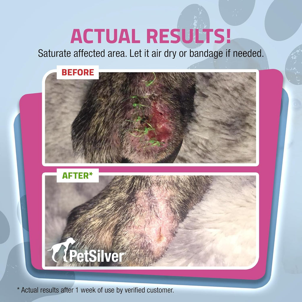 PetSilver - Wound & Skin Spray (4 fl oz) and Ear Wash (8 fl oz) with Patented Chelated Silver - Wound Care, Hot Spot, & Itch Relief Spray - Ear Cleaner & Treatment for Cats and Dogs - Made in USA