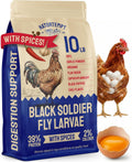 Hatortempt Spiced Black Soldier Fly Larvae for Chickens 10lb - High-Calcium Worm Treats for Laying Hens - Coated with a Chili Mix for Chickens