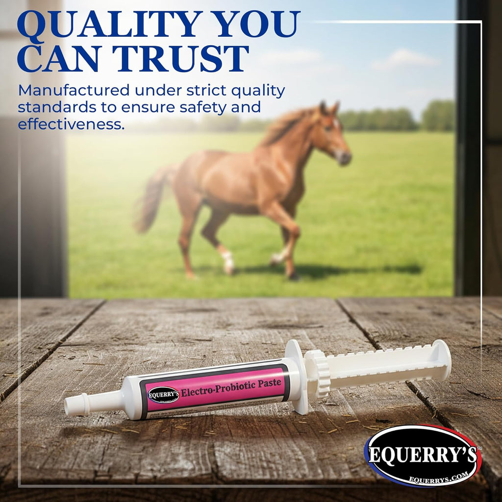 Equerry’s Electro-Probiotic Paste for Horses - 30g | Equine Probiotics & Electrolytes for Stressed Horses | Easy Oral Syringe | Made in USA