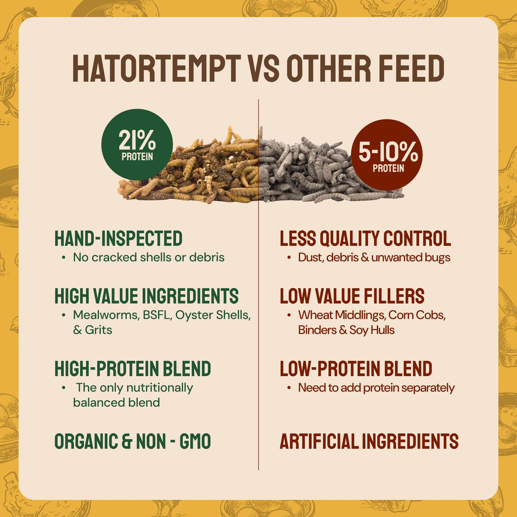 Hatortempt Grubs & Grits Chicken Feed Supplement - 5lb - with Chicken Grit, Mealworms, Black Fly Larvae and Oyster Shells - 21% Protein and 15% Calcium