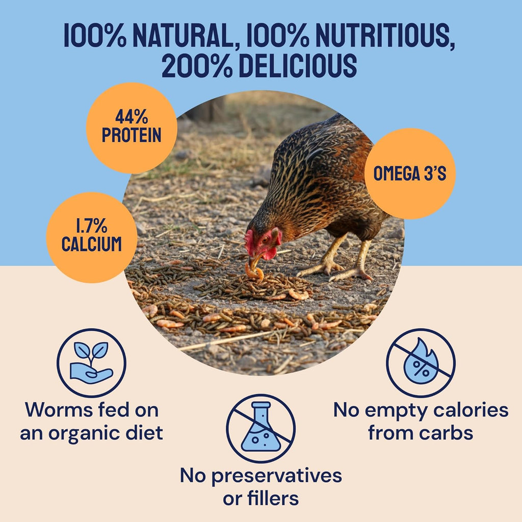 Hatortempt Surf and Turf 10lbs - Dried Mealworms for Chickens, Krill and Black Soldier Fly Larvae - High Calcium and Protein - Chicken Treats for Hens, Wild Birds and Duck Food