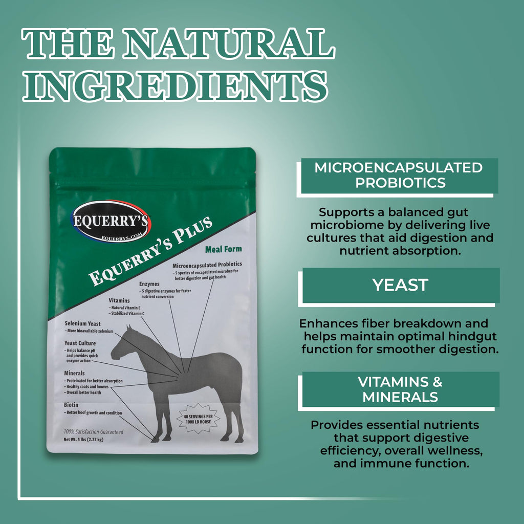 Equerry's Plus Horse Supplement - Enhanced Support with Probiotics for Digestion, Vitamins, and Minerals - Made in USA - 20 lb