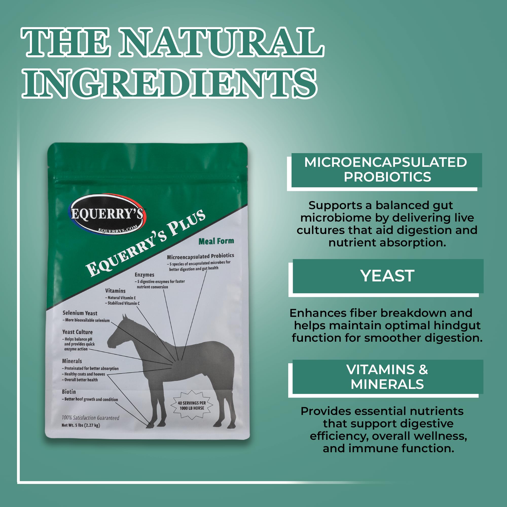 Equerry's Plus Horse Supplement - Enhanced Support with Probiotics for Digestion, Vitamins, and Minerals - Made in USA - 20 lb