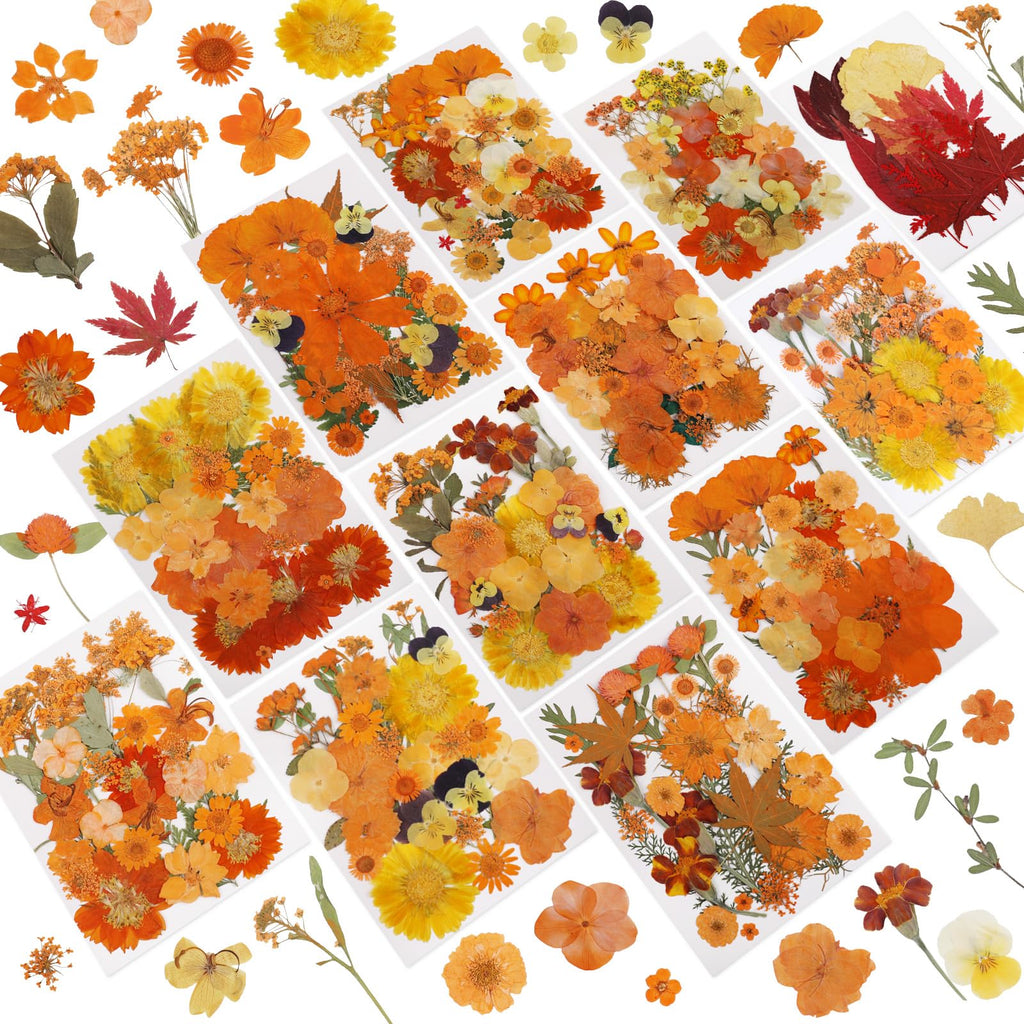NESCCI 420 Pcs Dried Pressed Flowers for Resin,Real Nature Dried Flowers for Crafts Bulk Dry Flowers Leaves Kit Used for Resin Molds Scrapbooking DIY Art Crafts Candle Soap Making Nails Décor