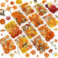 NESCCI 420 Pcs Dried Pressed Flowers for Resin,Real Nature Dried Flowers for Crafts Bulk Dry Flowers Leaves Kit Used for Resin Molds Scrapbooking DIY Art Crafts Candle Soap Making Nails Décor