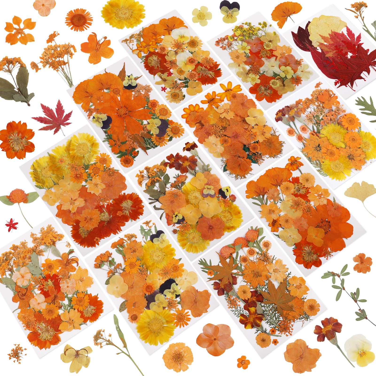 NESCCI 420 Pcs Dried Pressed Flowers for Resin,Real Nature Dried Flowers for Crafts Bulk Dry Flowers Leaves Kit Used for Resin Molds Scrapbooking DIY Art Crafts Candle Soap Making Nails Décor