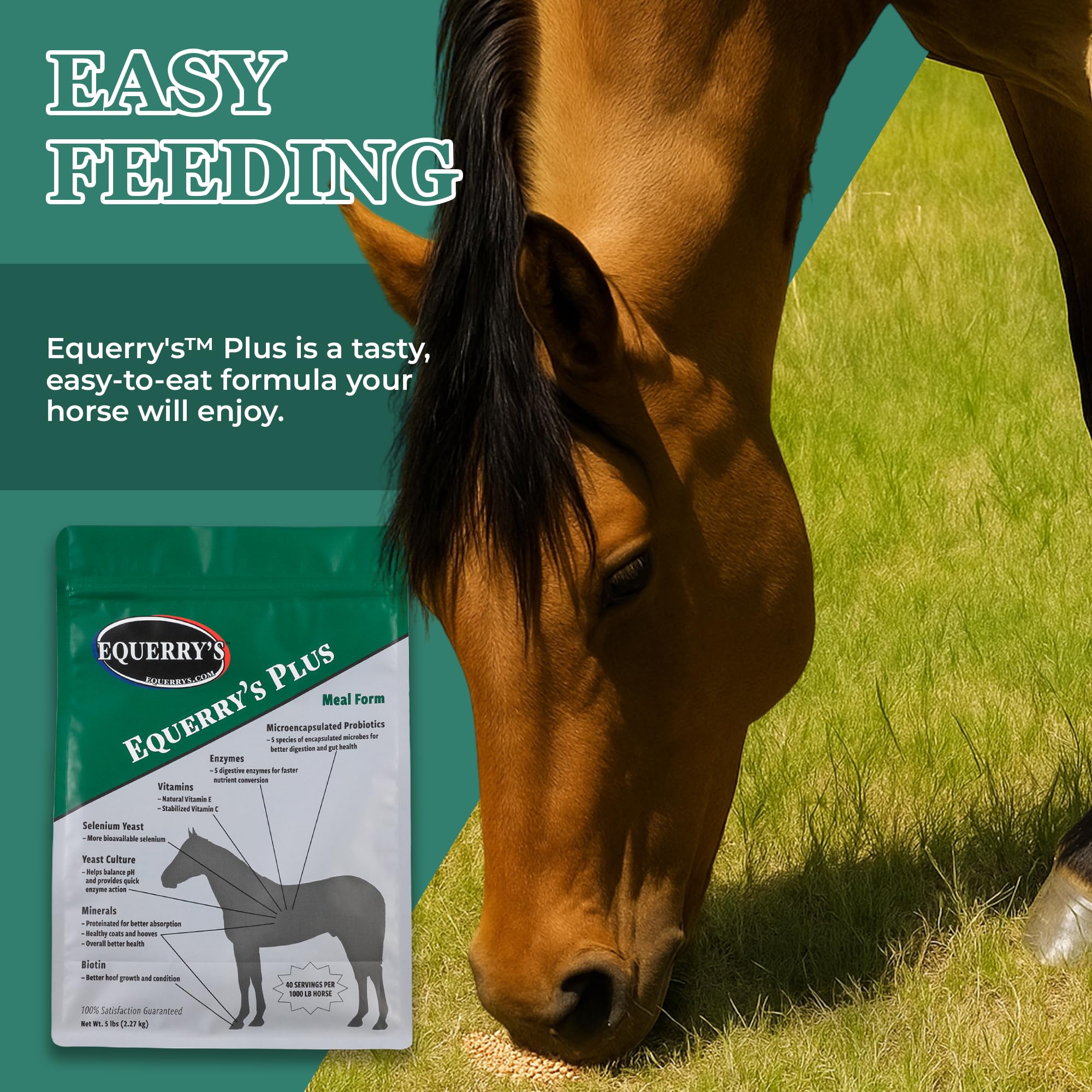 Equerry's Plus Horse Supplement - Enhanced Support with Probiotics for Digestion, Vitamins, and Minerals - Made in USA - 20 lb