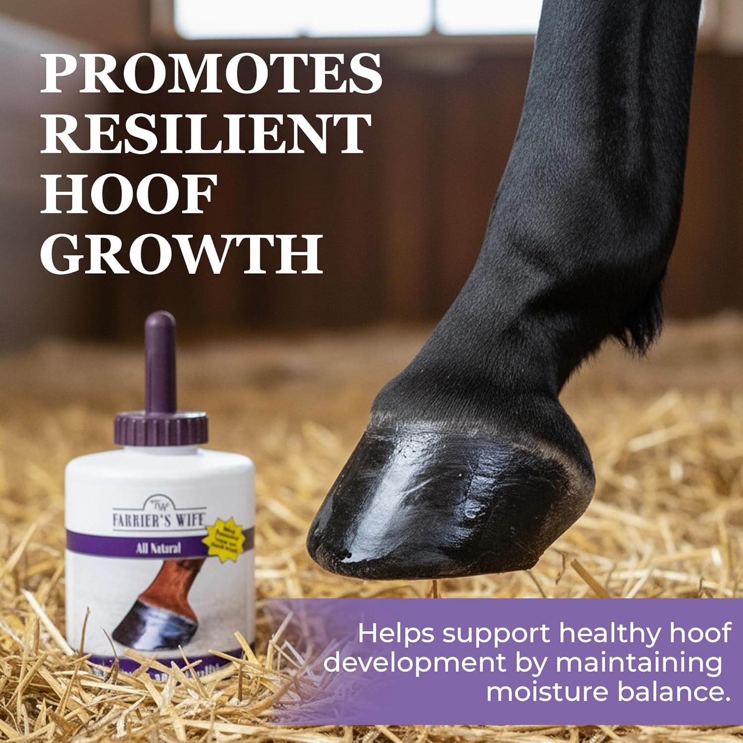 Farrier’s Wife Hoof Dressing & Conditioner for Horses – 30 oz Bottle with Brush | Seals in Moisture for Strong, Crack-Resistant Hooves | Petroleum-Free Horse Hoof Care