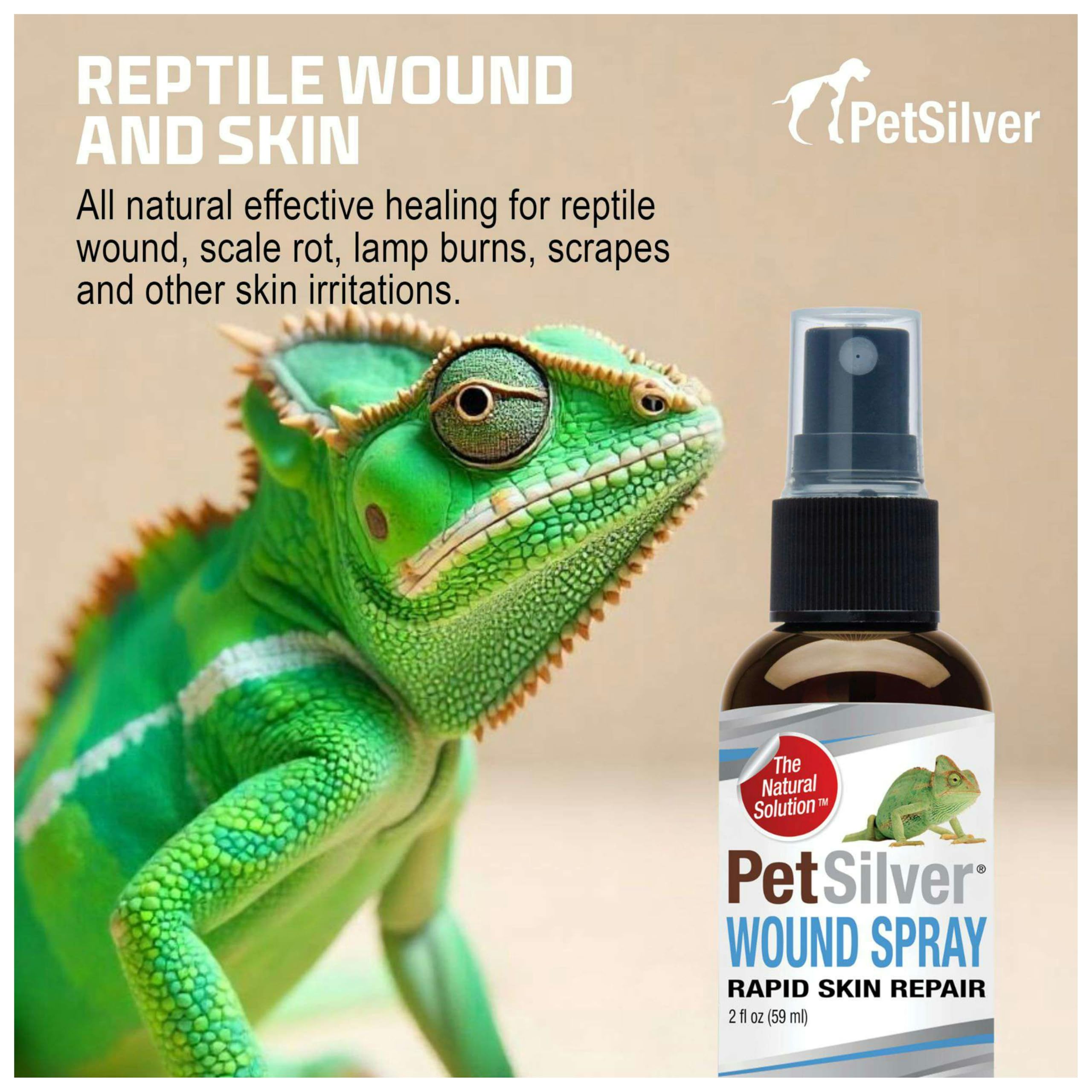 PetSilver Reptile Wound Spray with Chelated Silver – Reptile Wound Care for Snakes, Lizards, Geckos – Burns, Sores, Irritations & Scale Rot Treatment – Non-Toxic & Safe – Made in USA – 2 fl oz