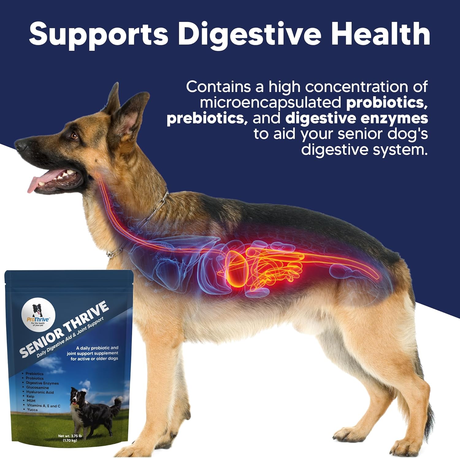 ProThrive Senior Dog Digestive & Joint Supplement - Supports Healthy Digestion, Immune System, and Joint Comfort for Aging Dogs, Advanced Relief 3.75 Lb