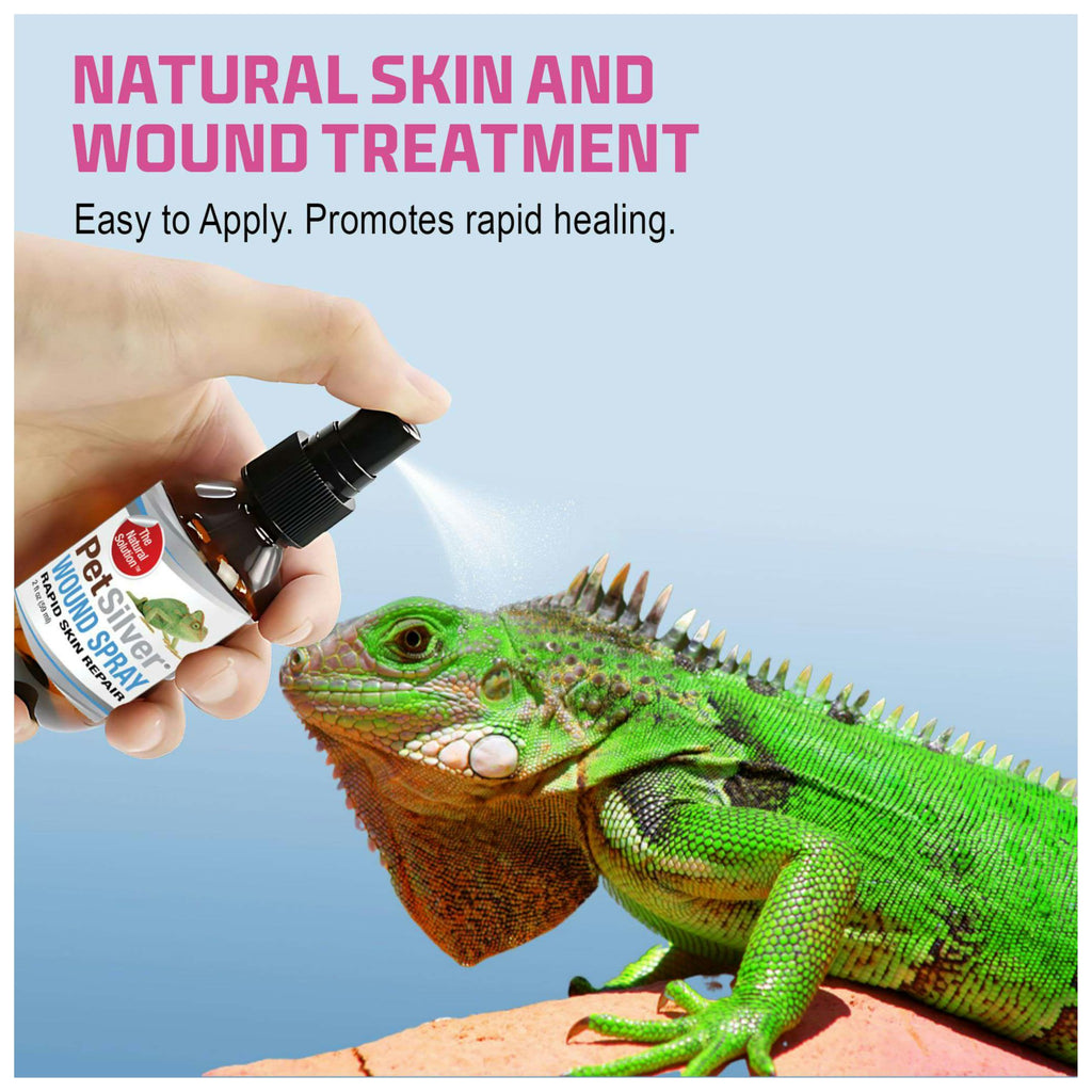 PetSilver Reptile Wound Spray with Chelated Silver – Reptile Wound Care for Snakes, Lizards, Geckos – Burns, Sores, Irritations & Scale Rot Treatment – Non-Toxic & Safe – Made in USA – 2 fl oz