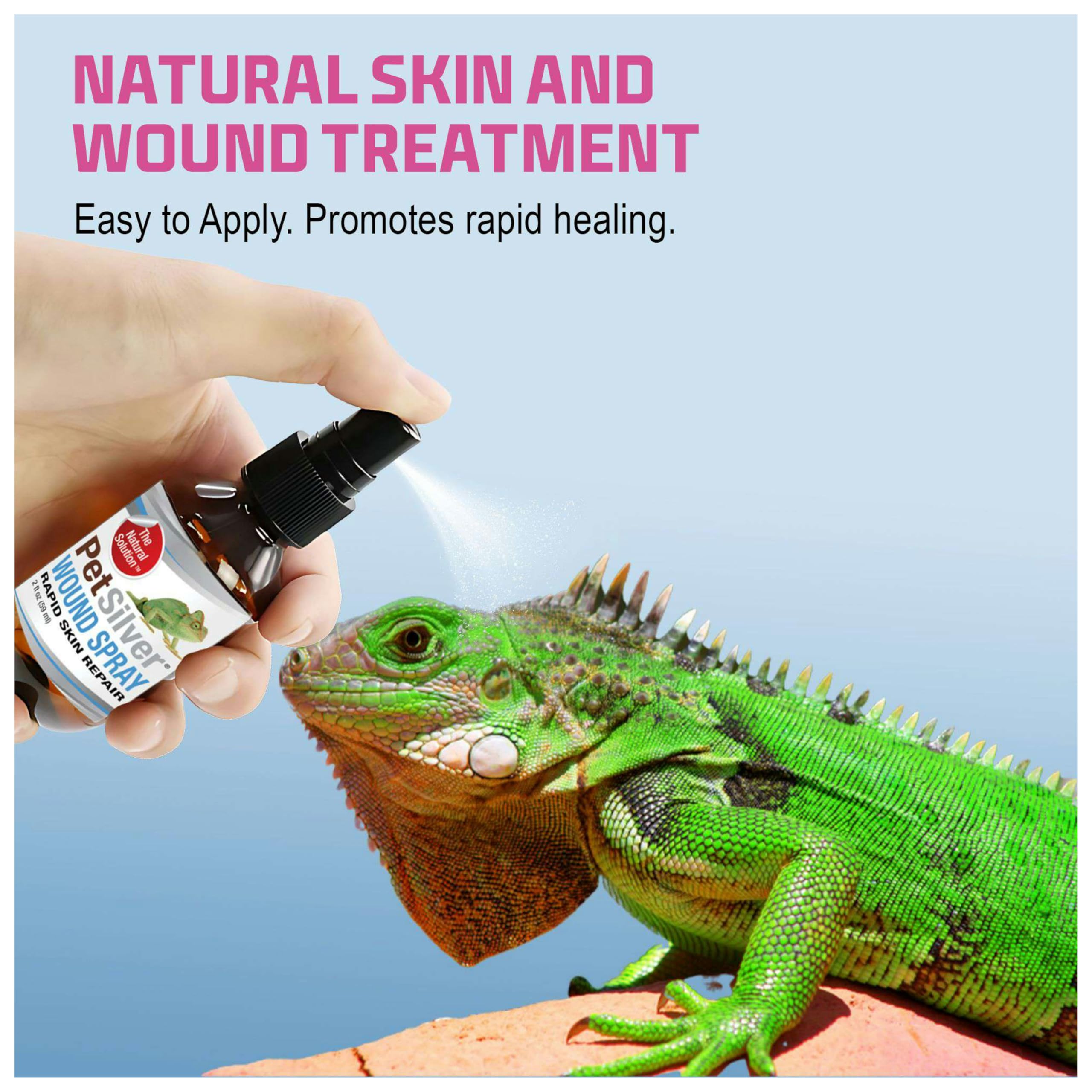 PetSilver Reptile Wound Spray with Chelated Silver – Reptile Wound Care for Snakes, Lizards, Geckos – Burns, Sores, Irritations & Scale Rot Treatment – Non-Toxic & Safe – Made in USA – 2 fl oz