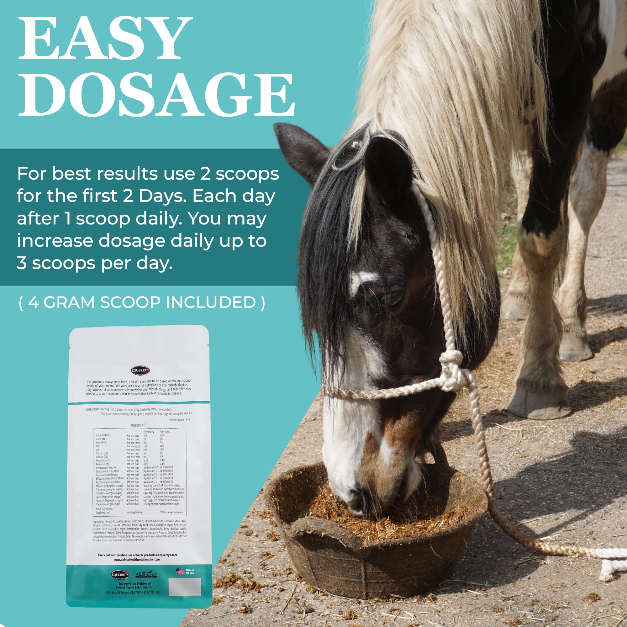 Equerry's Angel Maker, Raspberry Leaf, Microencapsulated Probiotics Supplement for Horse Ulcer Treatment & Digestive Health Calmness & Focus, 1.5lb.